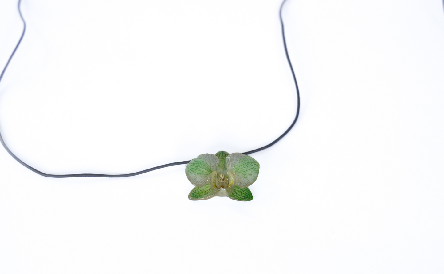 Choker Orchid