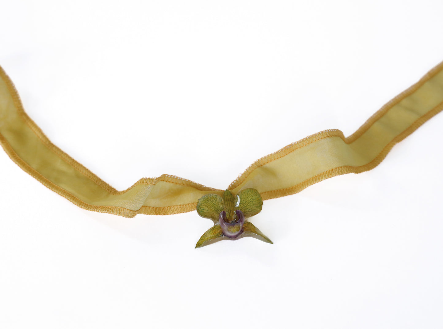 Choker Orchid